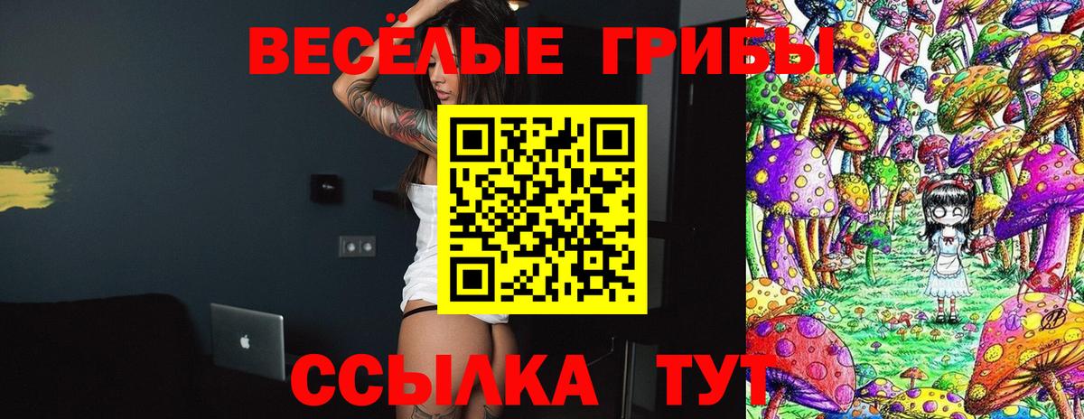 Волжск  Галлюциногенные грибы прущие грибы  Вход с VPN 