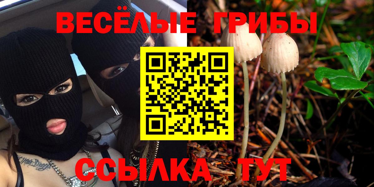 Галлюциногенные грибы Psilocybine cubensis Волжск